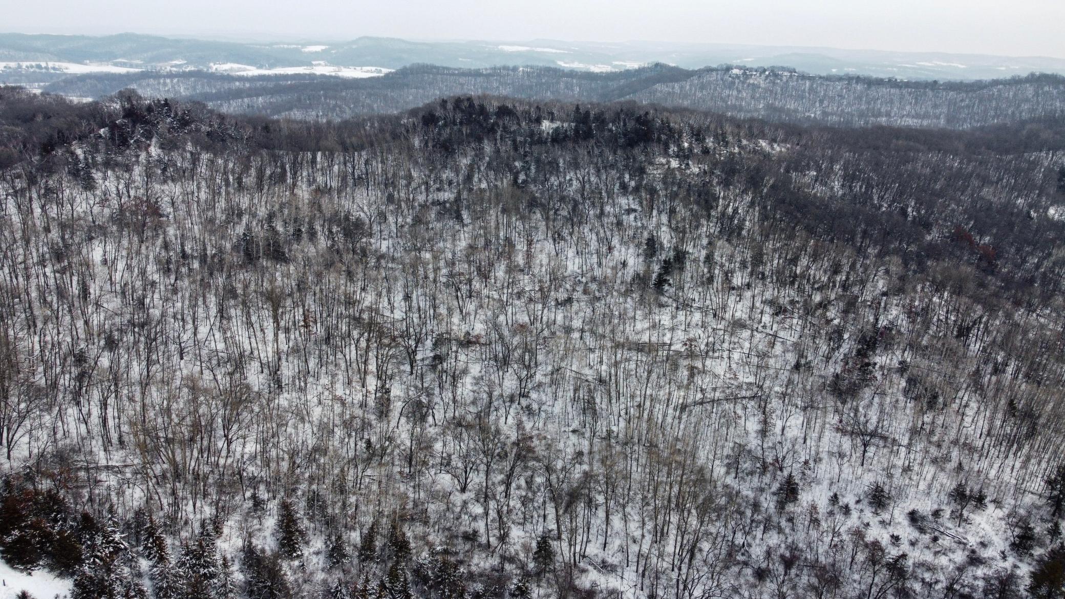 W3740 Evenson Road Mindoro, WI 54644 - Photo 18 of 53