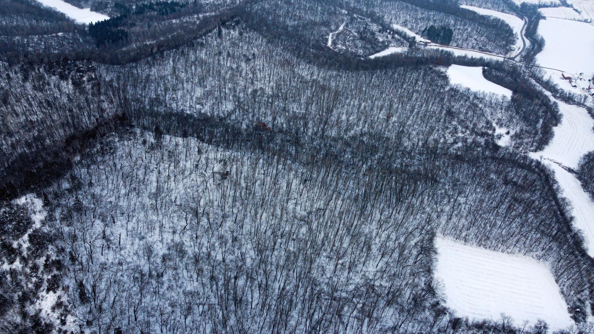 W3740 Evenson Road Mindoro, WI 54644 - Photo 20 of 53