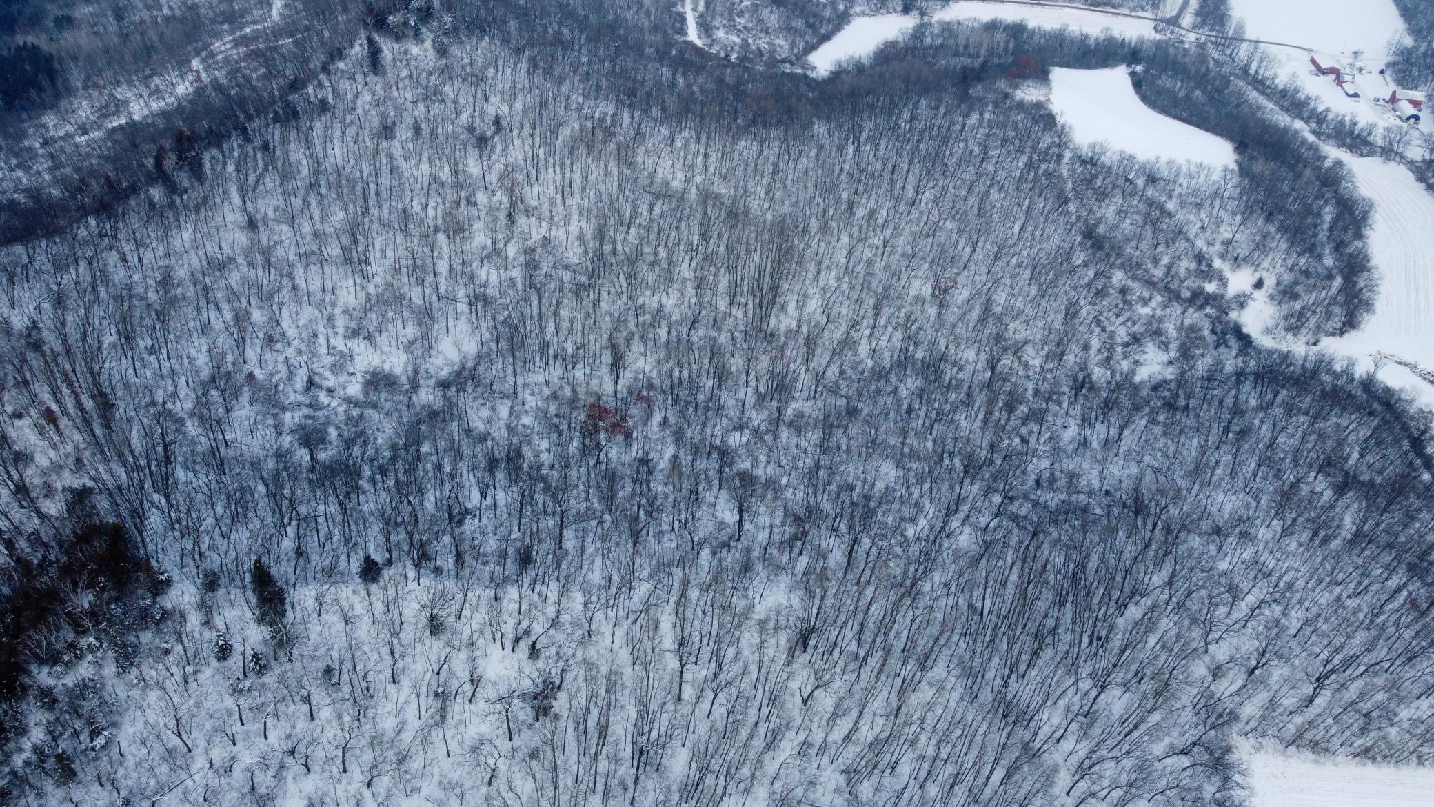 W3740 Evenson Road Mindoro, WI 54644 - Photo 21 of 53