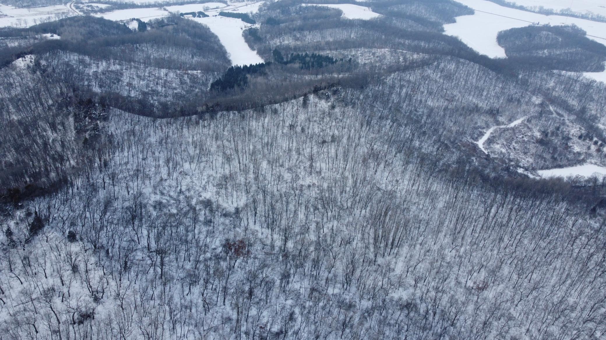 W3740 Evenson Road Mindoro, WI 54644 - Photo 23 of 53