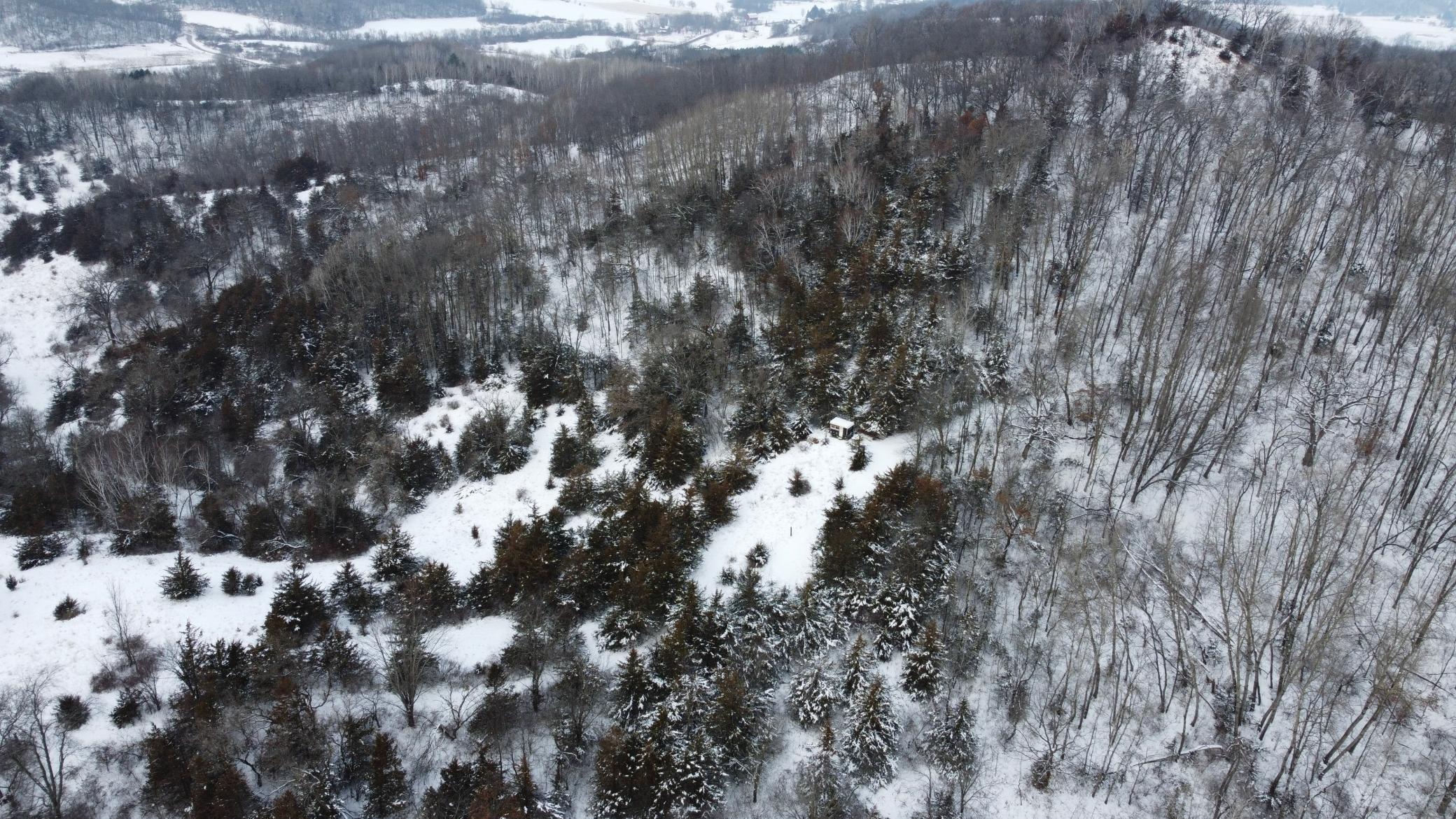 W3740 Evenson Road Mindoro, WI 54644 - Photo 27 of 53