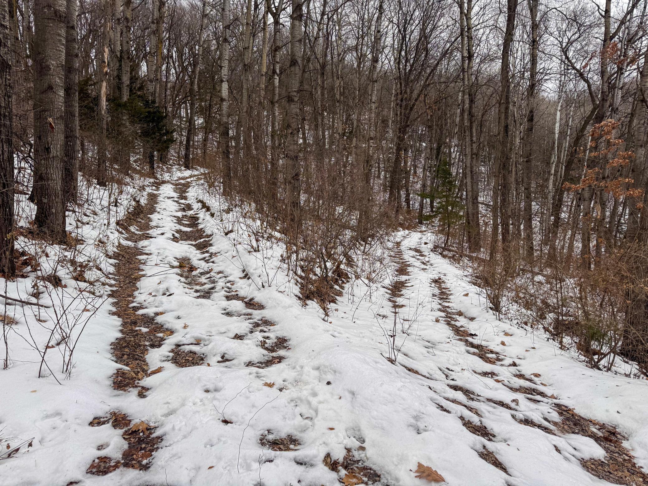 W3740 Evenson Road Mindoro, WI 54644 - Photo 28 of 53