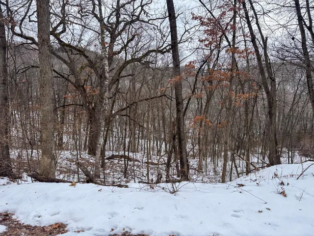 $1,400,000 | W3740 Evenson Road, Mindoro, WI 54644