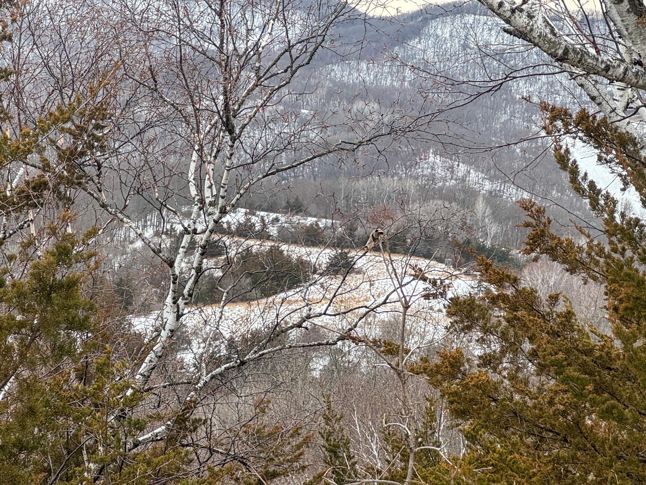 W3740 Evenson Road Mindoro, WI 54644 - Photo 31 of 53