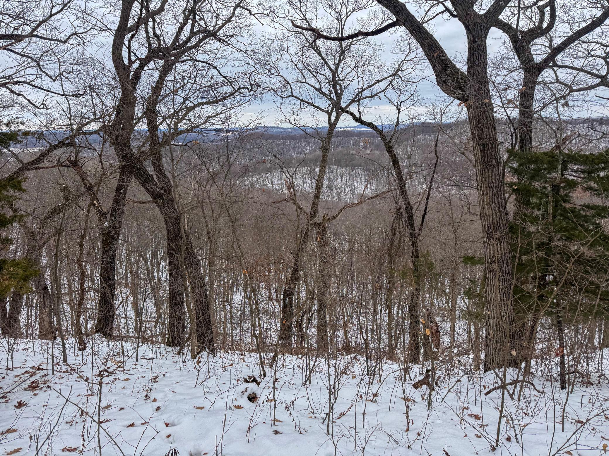 W3740 Evenson Road Mindoro, WI 54644 - Photo 32 of 53