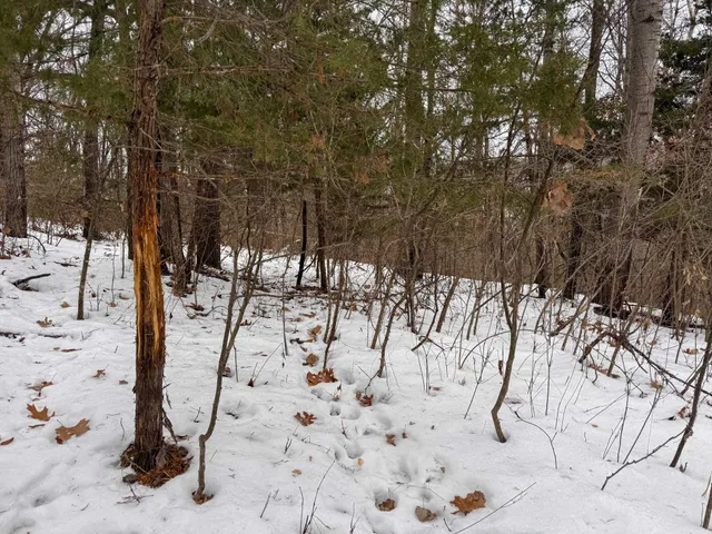 $1,400,000 | W3740 Evenson Road, Mindoro, WI 54644