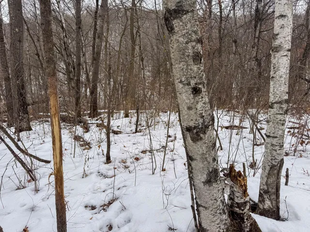 $1,400,000 | W3740 Evenson Road, Mindoro, WI 54644