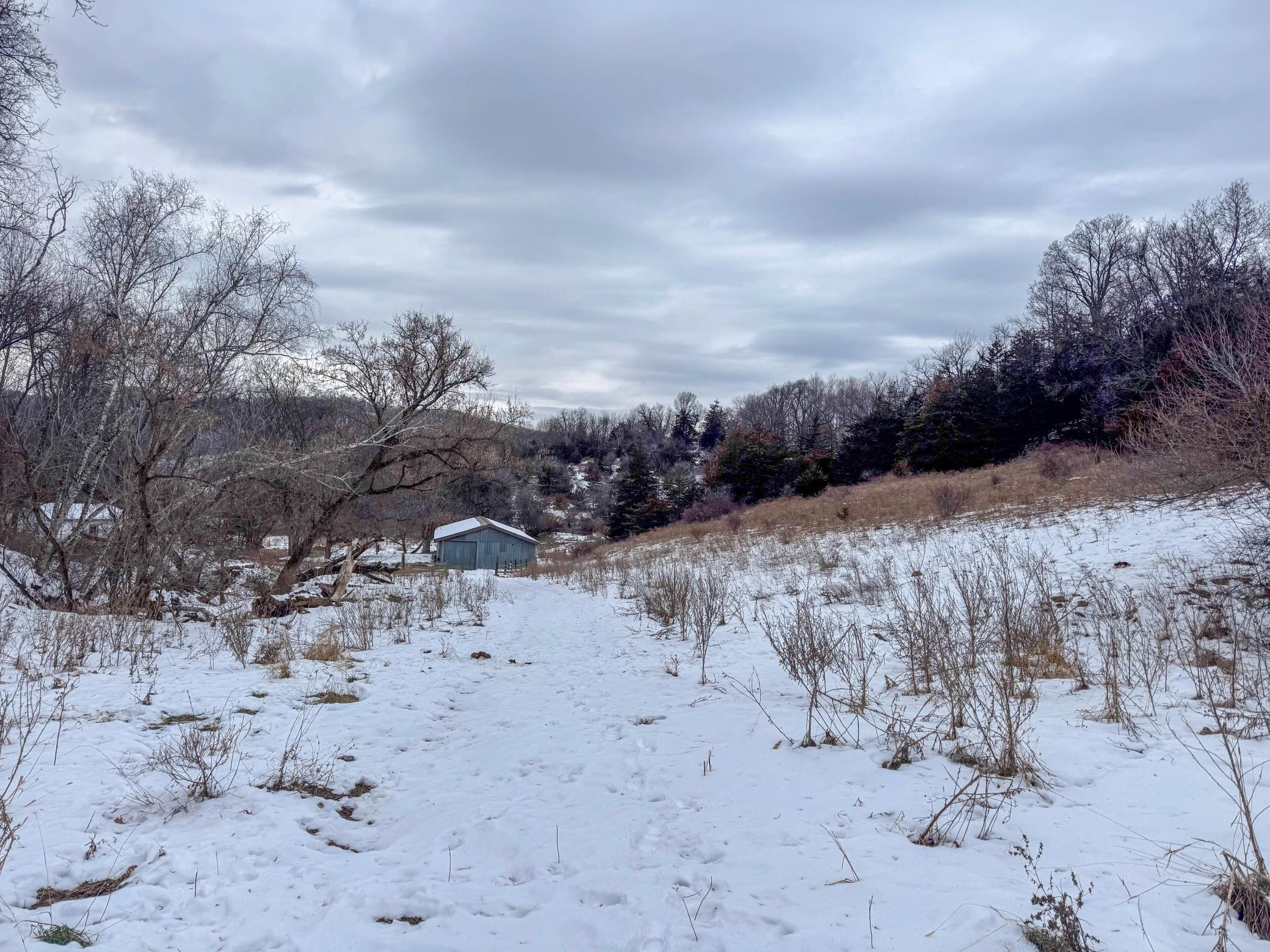 W3740 Evenson Road Mindoro, WI 54644 - Photo 38 of 53