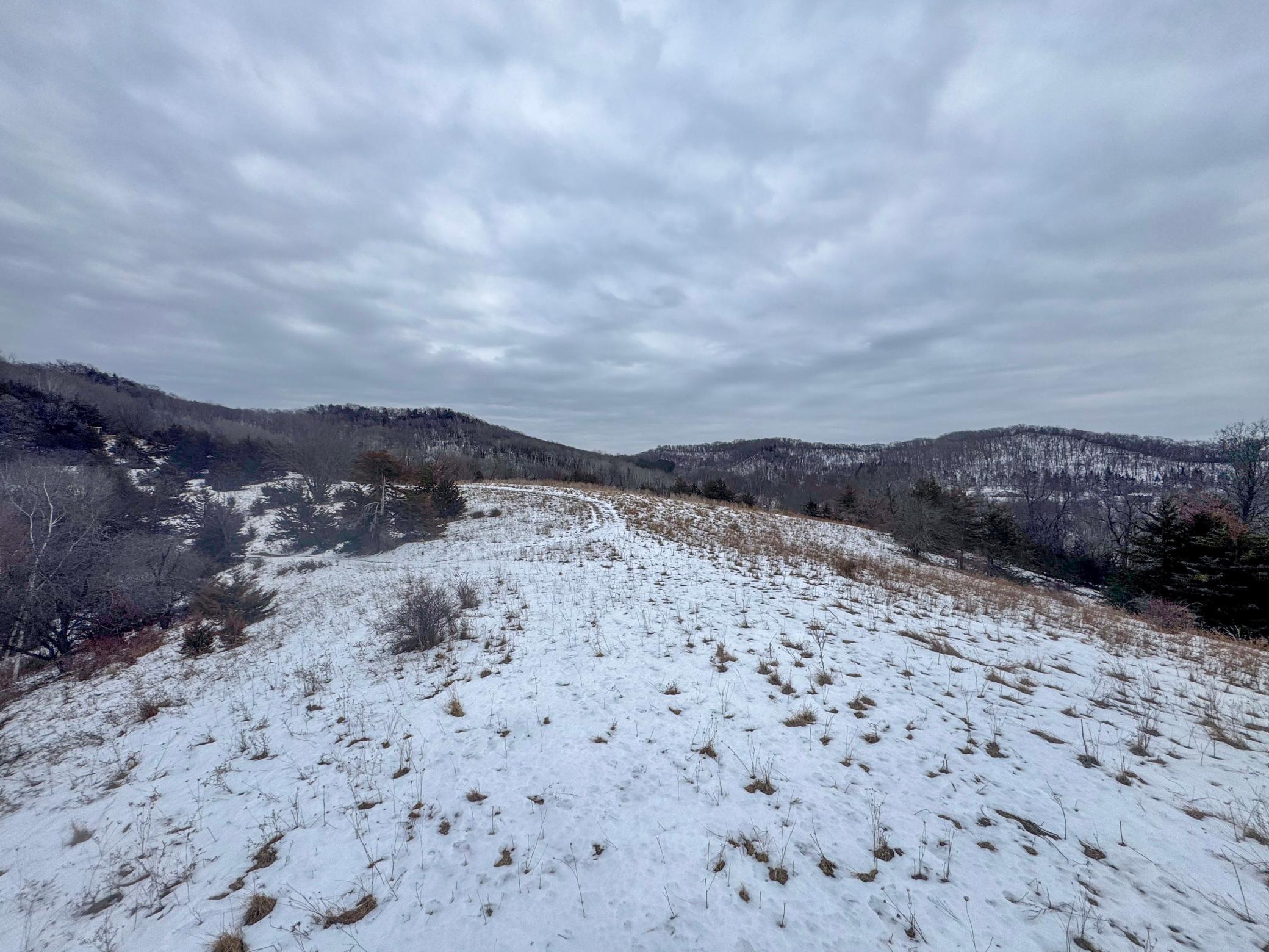 W3740 Evenson Road Mindoro, WI 54644 - Photo 44 of 53