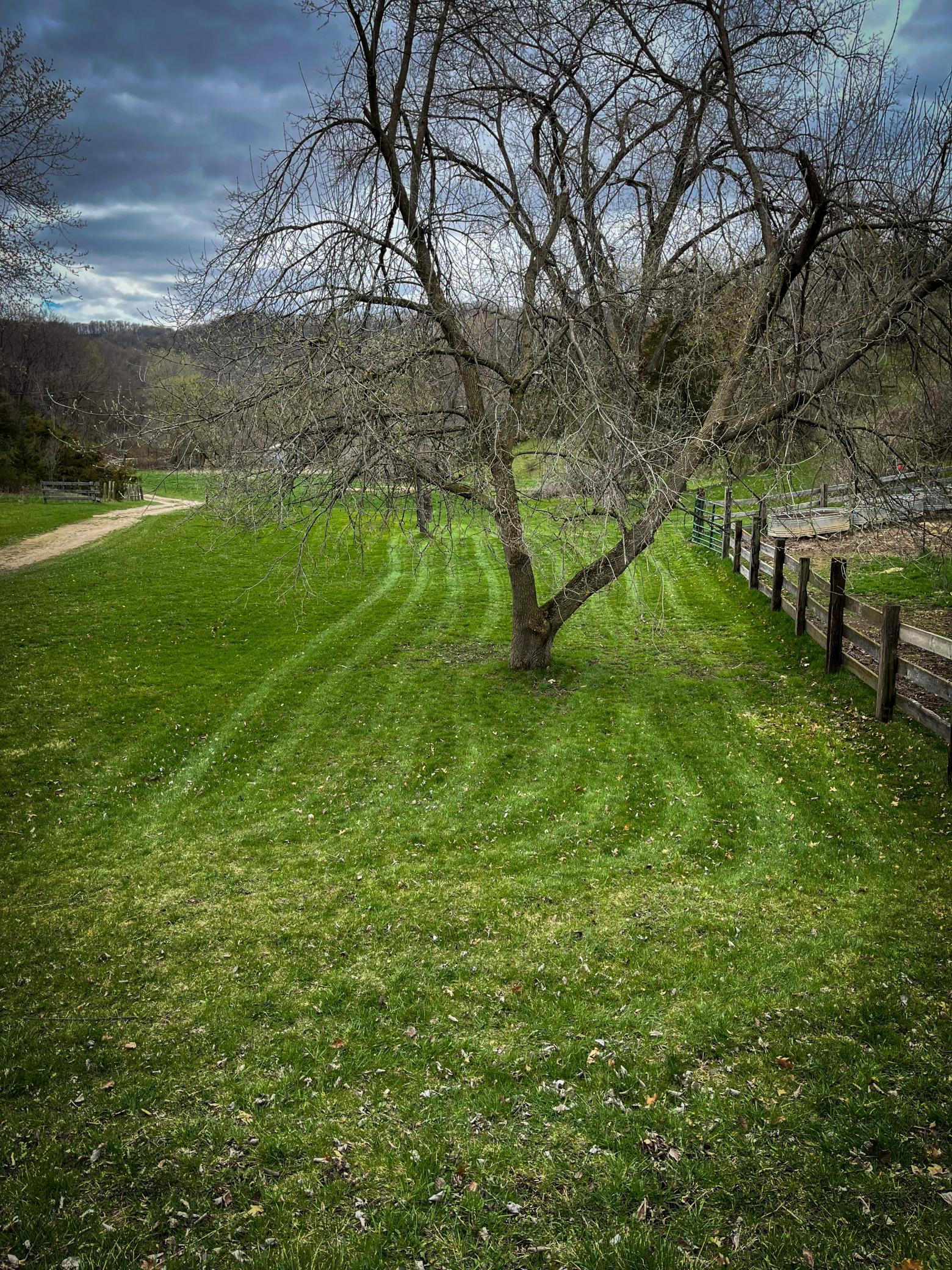 W3740 Evenson Road Mindoro, WI 54644 - Photo 47 of 53