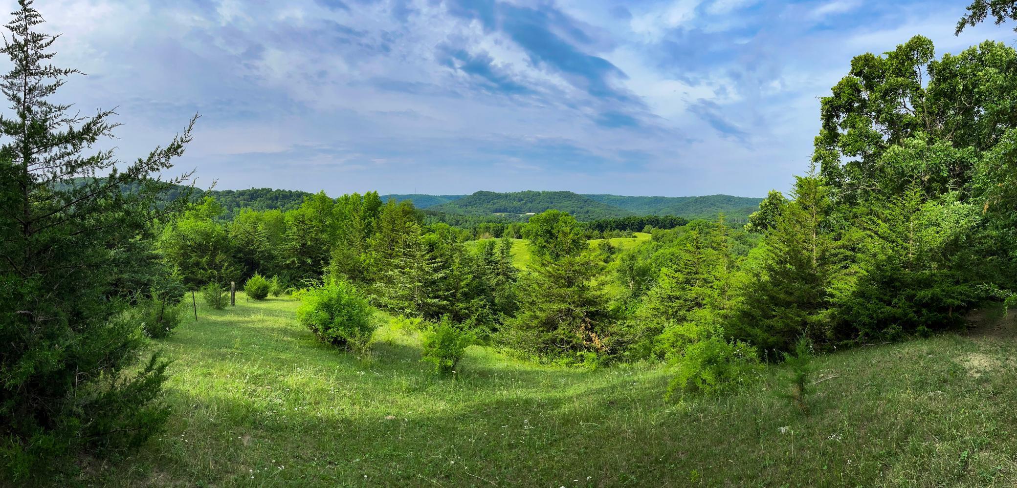 W3740 Evenson Road Mindoro, WI 54644 - Photo 49 of 53