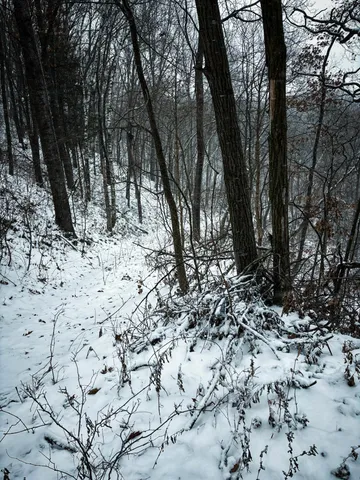 $1,400,000 | W3740 Evenson Road, Mindoro, WI 54644