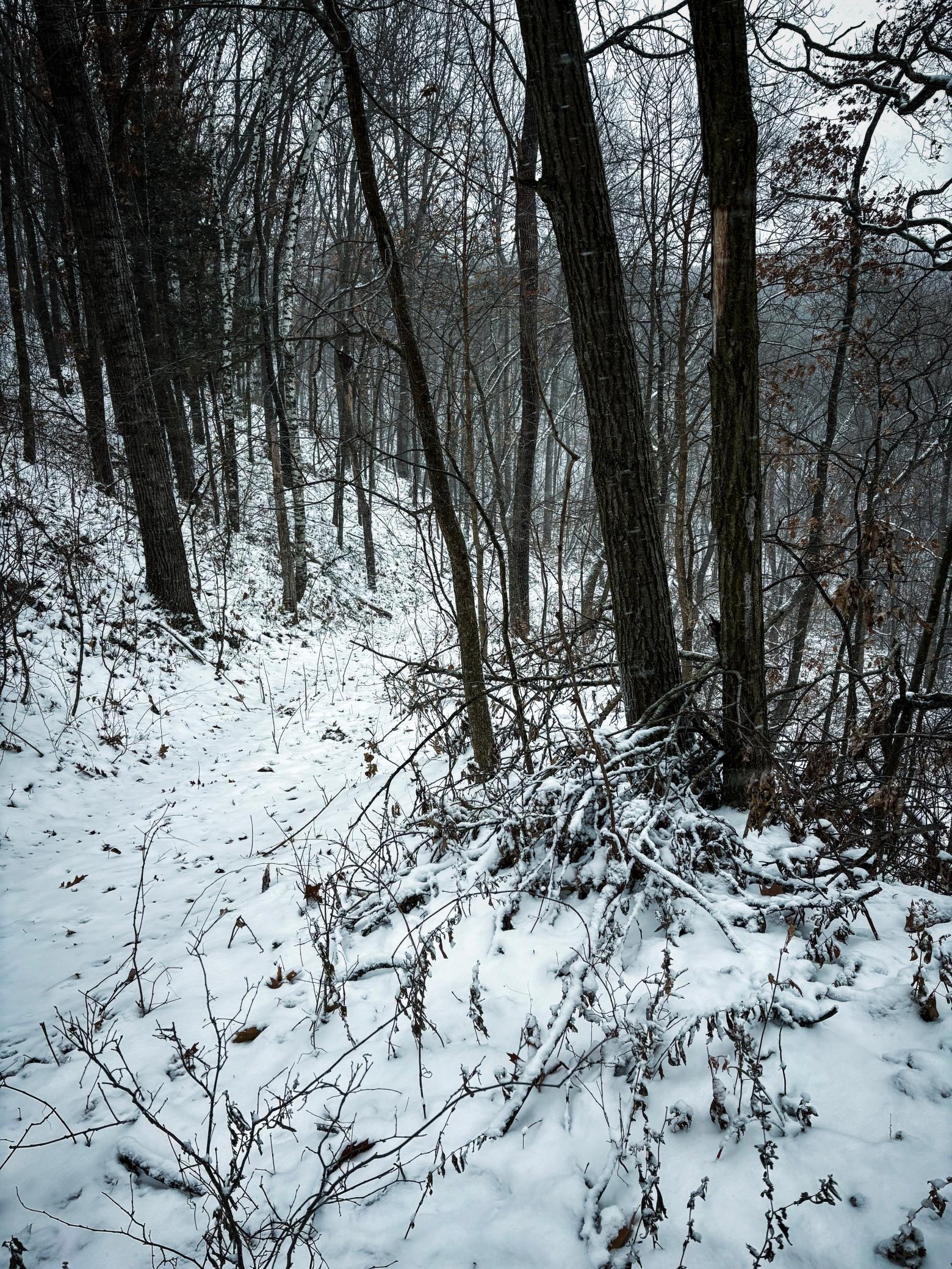 W3740 Evenson Road Mindoro, WI 54644 - Photo 50 of 53