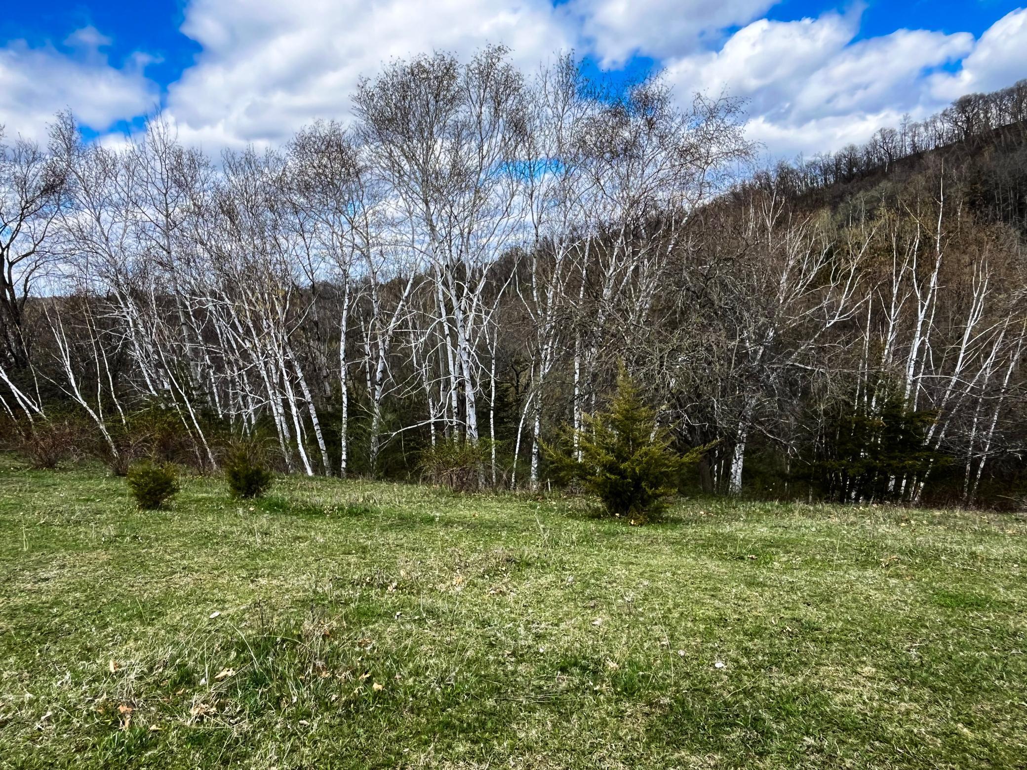 W3740 Evenson Road Mindoro, WI 54644 - Photo 51 of 53