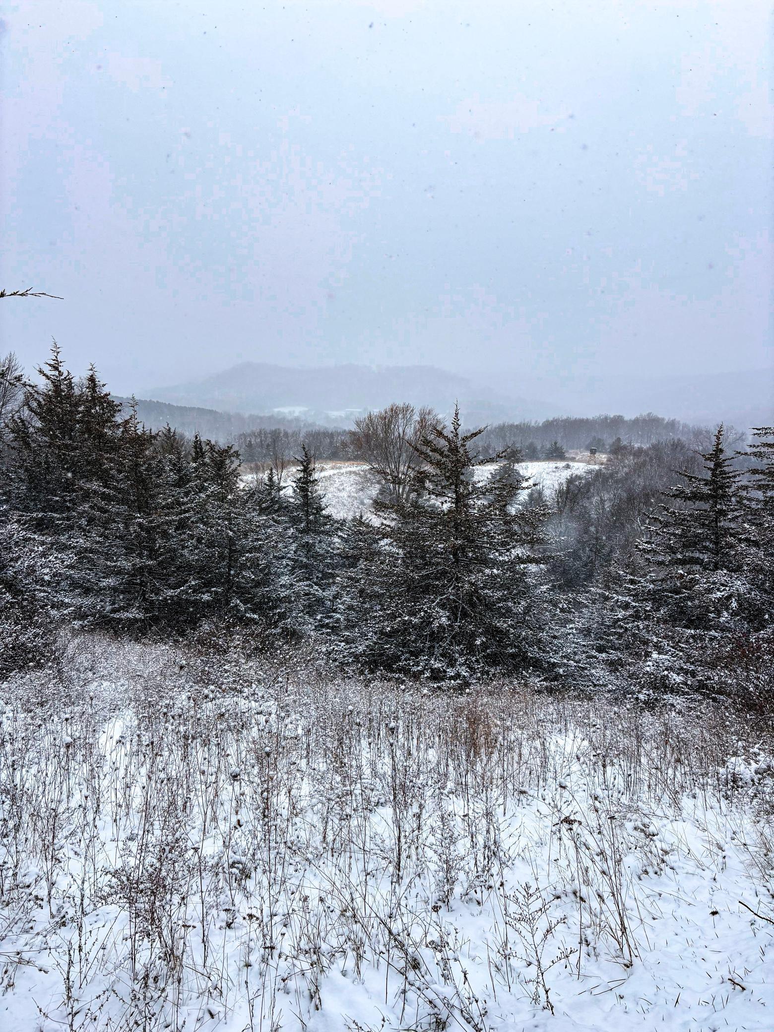 W3740 Evenson Road Mindoro, WI 54644 - Photo 52 of 53