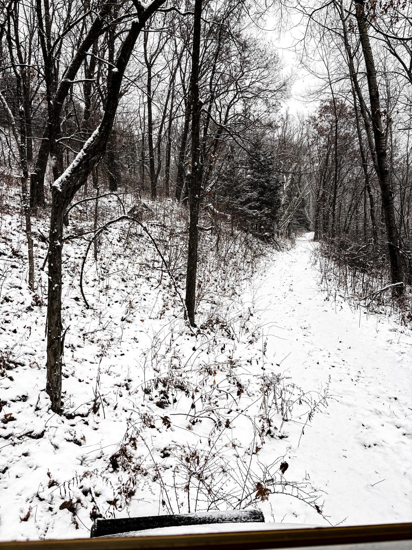 W3740 Evenson Road Mindoro, WI 54644 - Photo 53 of 53