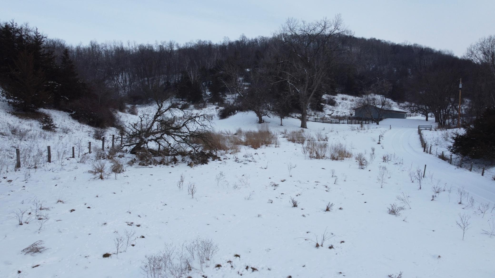 W3740 Evenson Road Mindoro, WI 54644 - Photo 8 of 53