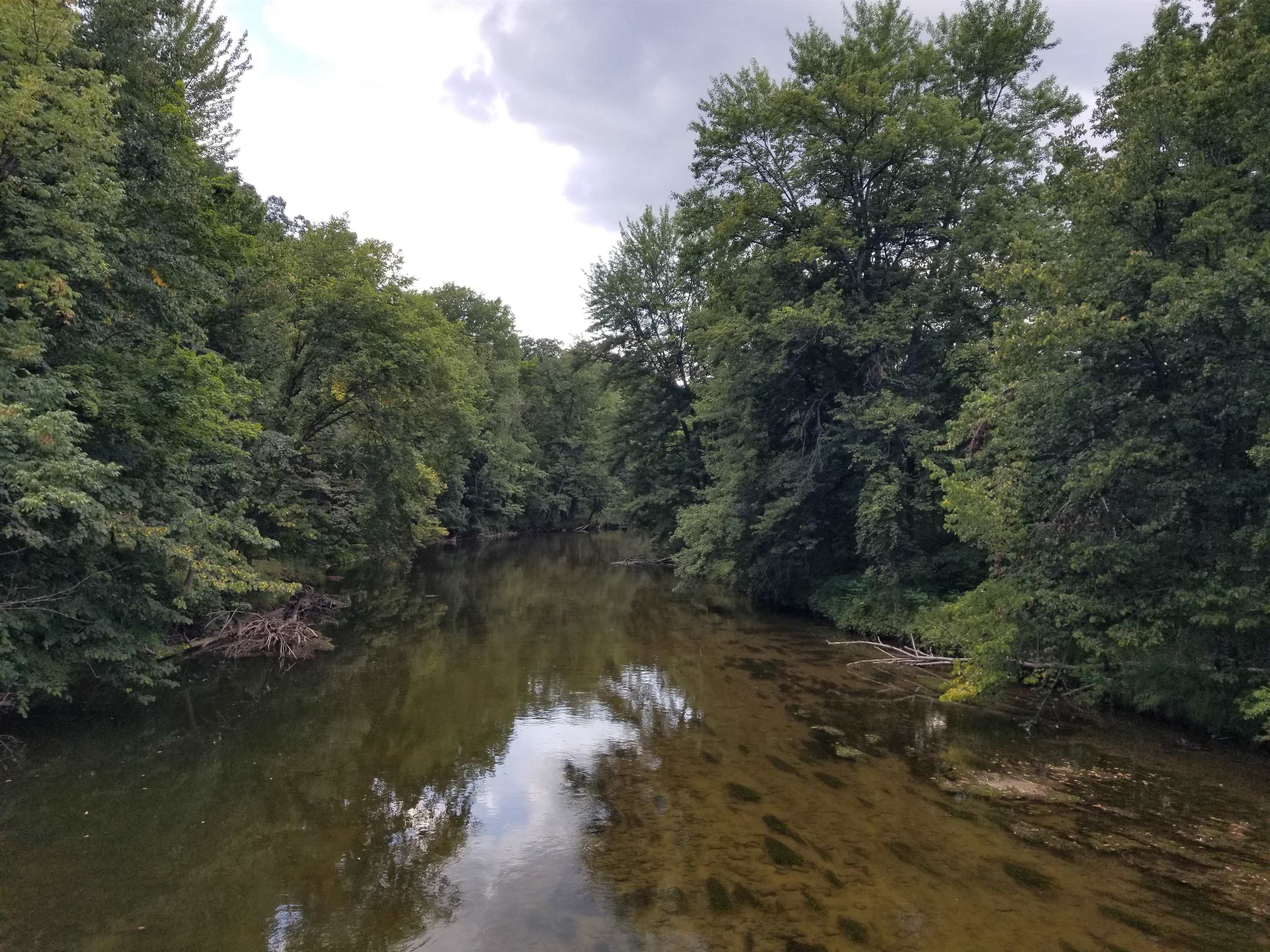 40-acres South Chippewa Road Mount Pleasant, MI 48858 - Photo 11 of 14