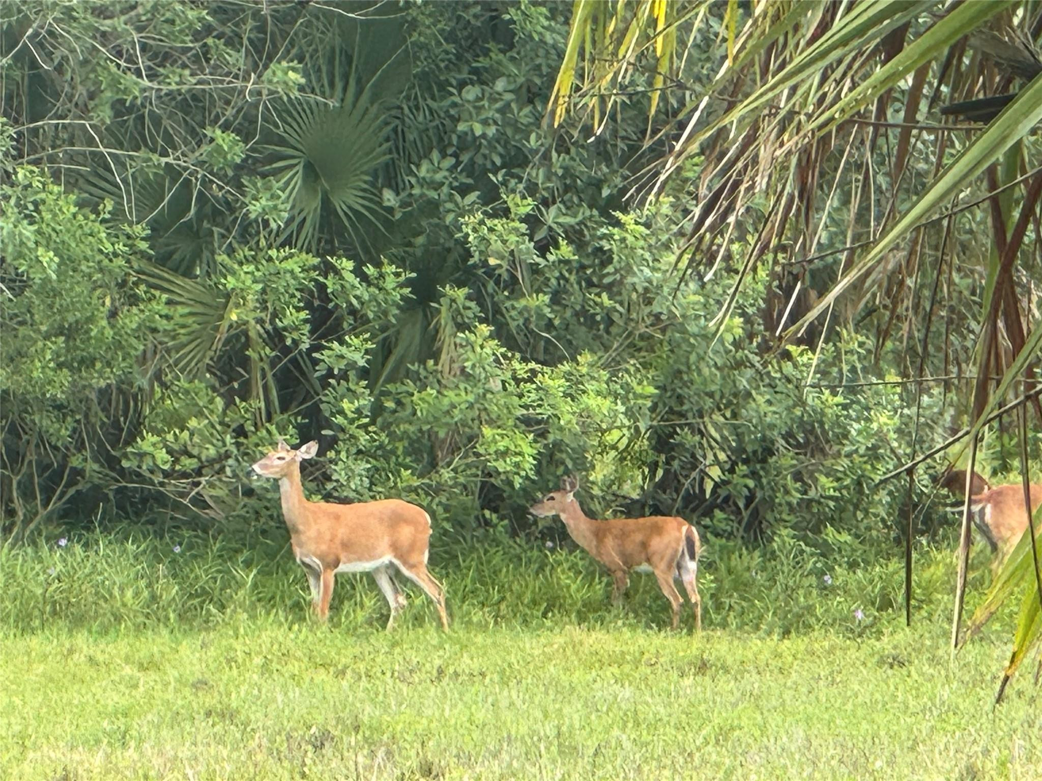 0 Co Road Clewiston, FL 33440 - Photo 28 of 40 Photo 24