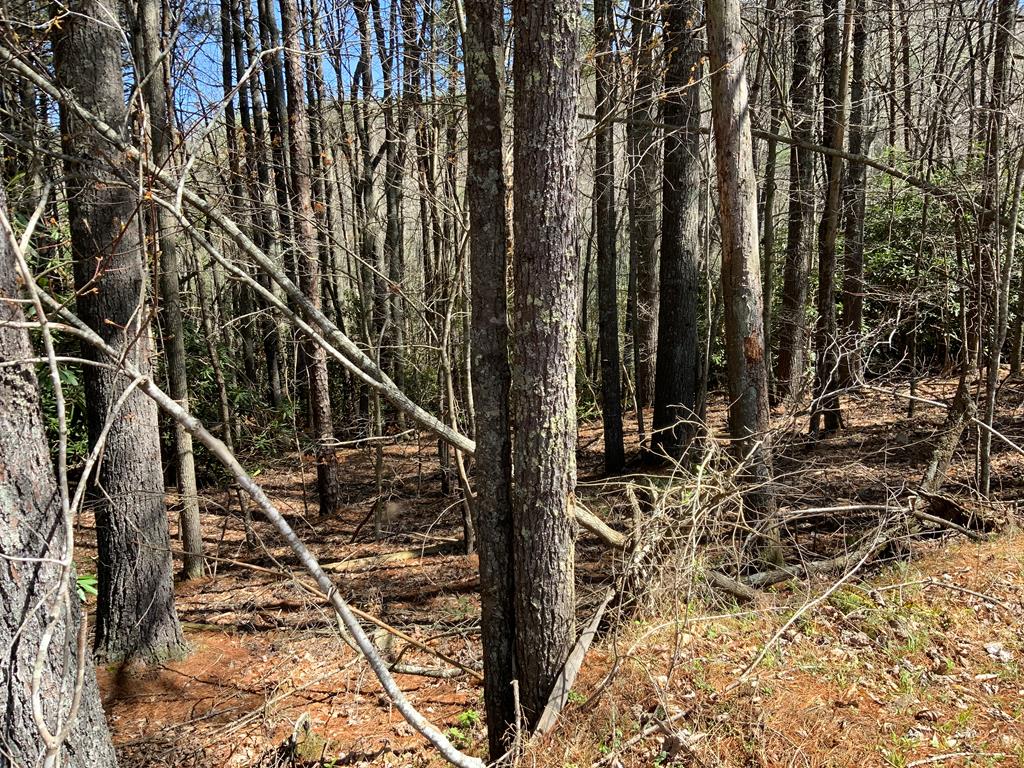 96-ac Cole Mountain Road, Unit 41 Hiwassee, VA 24347 - Photo 26 of 66 Gallery Image 26