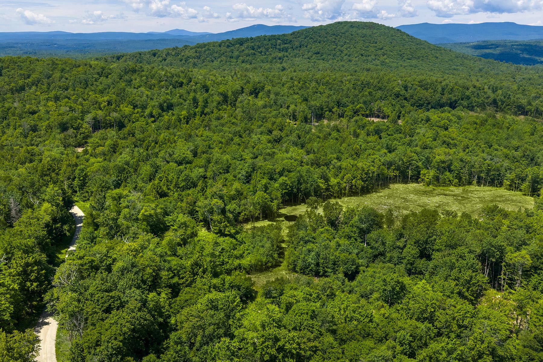 0 Little Pond Road Andover, VT 05143 - Photo 10 of 16