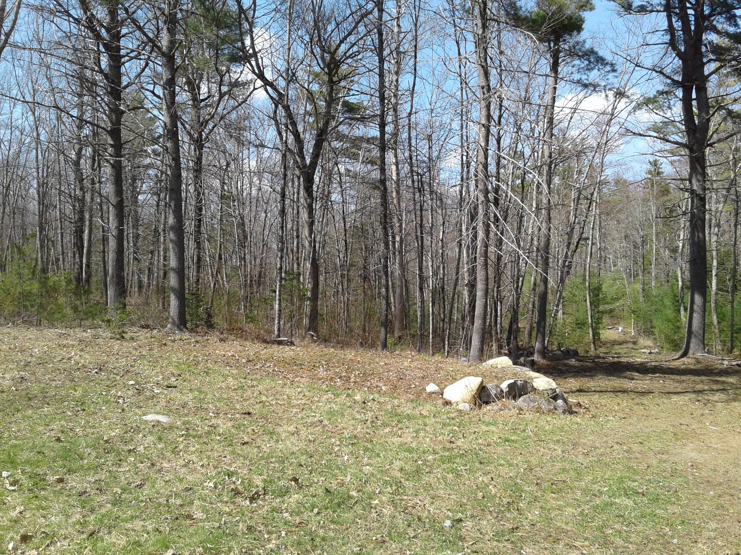 379 Greenacre Road Lincolnville, ME 04849 - Photo 9 of 13 Open field near camp house