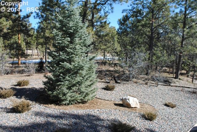 10980 Thomas Road Colorado Springs, CO 80908 - Photo 20 of 25