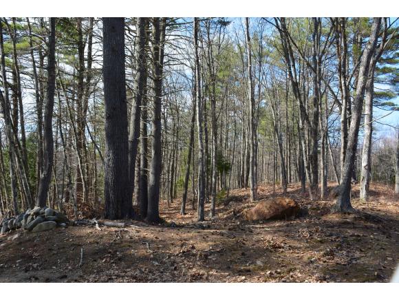 0 White Oak Road Barnstead, NH 03218 - Photo 5 of 19