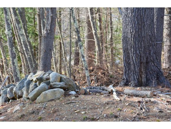 0 White Oak Road Barnstead, NH 03218 - Photo 6 of 19