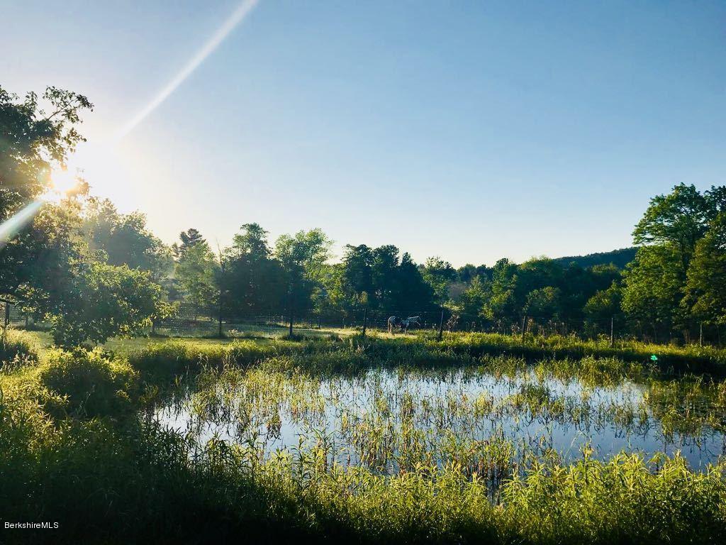 1304 Main Road Savoy, MA 01256 - Photo 16 of 28 a view of a lake with houses in the back