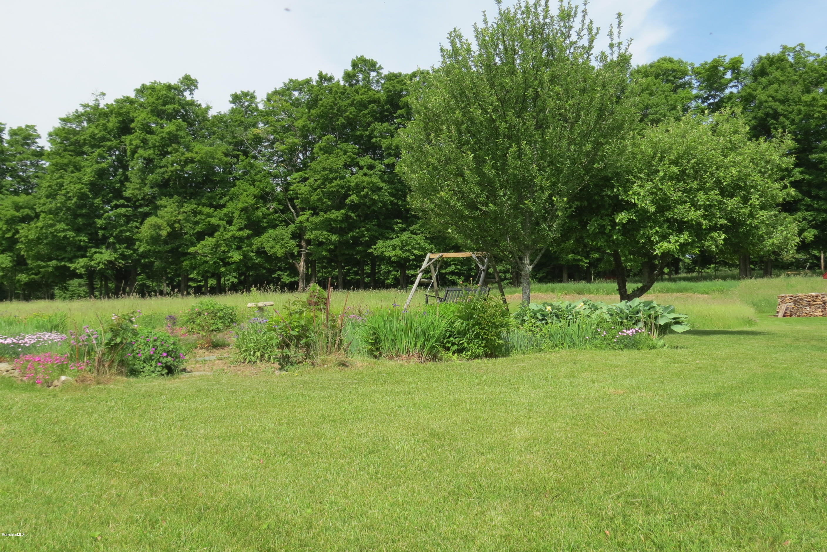 1304 Main Road Savoy, MA 01256 - Photo 28 of 28 a view of a garden with a tree