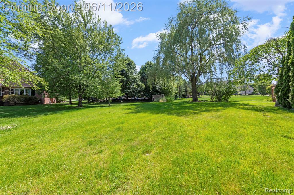 50145 Tottenham Court Canton, MI 48187 - Photo 8 of 76
