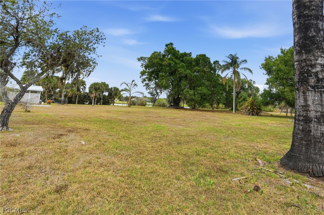 2180 Cook Lane Alva, FL 33920 - Photo 34 of 46 a view of a field with trees in the background