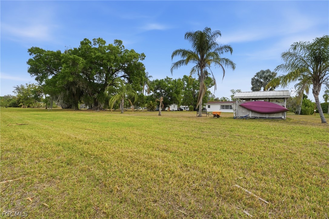 2180 Cook Lane Alva, FL 33920 - Photo 41 of 46 a couple of palm trees and a table in a yard