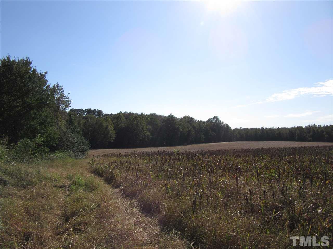 3821 Zebulon Road Zebulon, NC 27597 - Photo 2 of 3