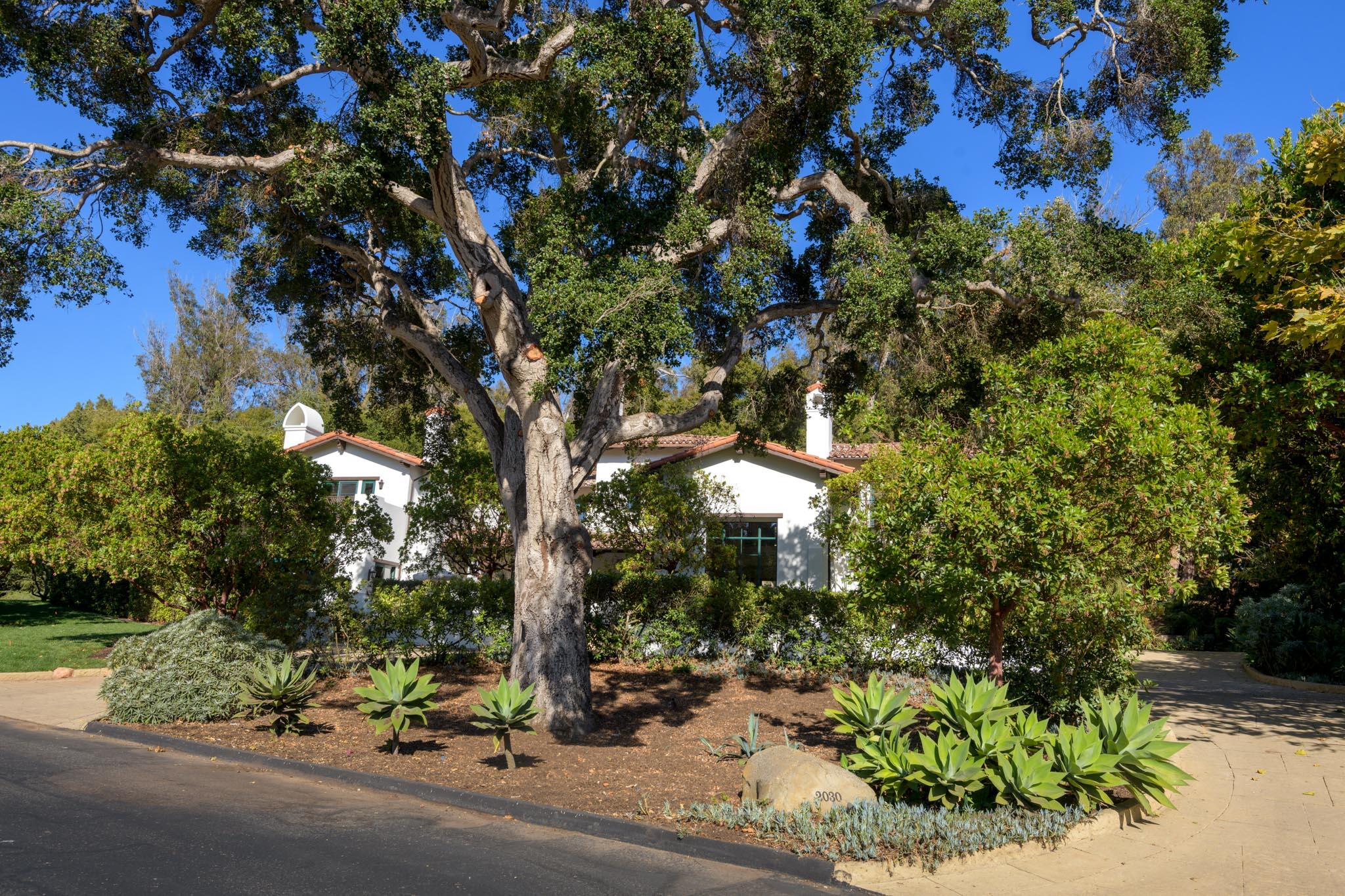 2030 Creekside Road Santa Barbara, CA 93108 - Photo 35 of 41 a view of a tree with a tree