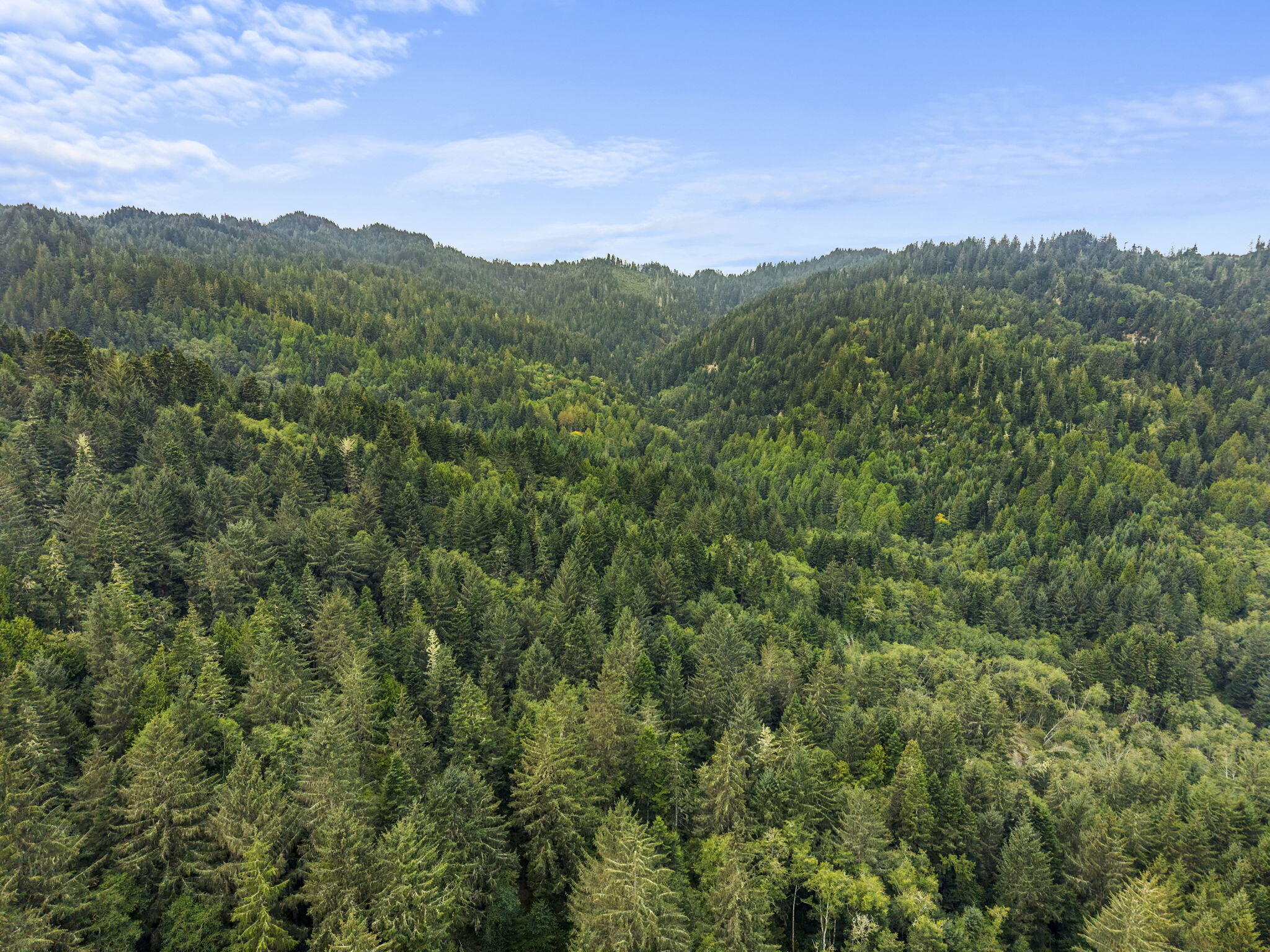 0 Williams Creek Road Ferndale, CA 95536 - Photo 9 of 13