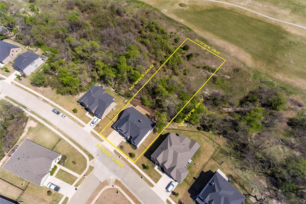 1420 Bear Path Way Gunter, TX 75058 - Photo 5 of 40