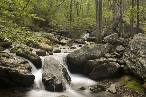 3836 Youngstown Road Chattanooga, TN 37406 - Photo 19 of 25 shutterstock_164474378