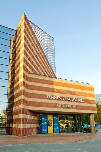 3836 Youngstown Road Chattanooga, TN 37406 - Photo 9 of 25 shutterstock_86218399