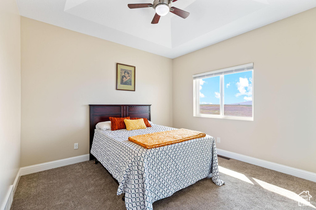 19502 South Olson Road Downey, ID 83234 - Photo 28 of 64 Second bedroom with a ceiling fan and a raised ceiling