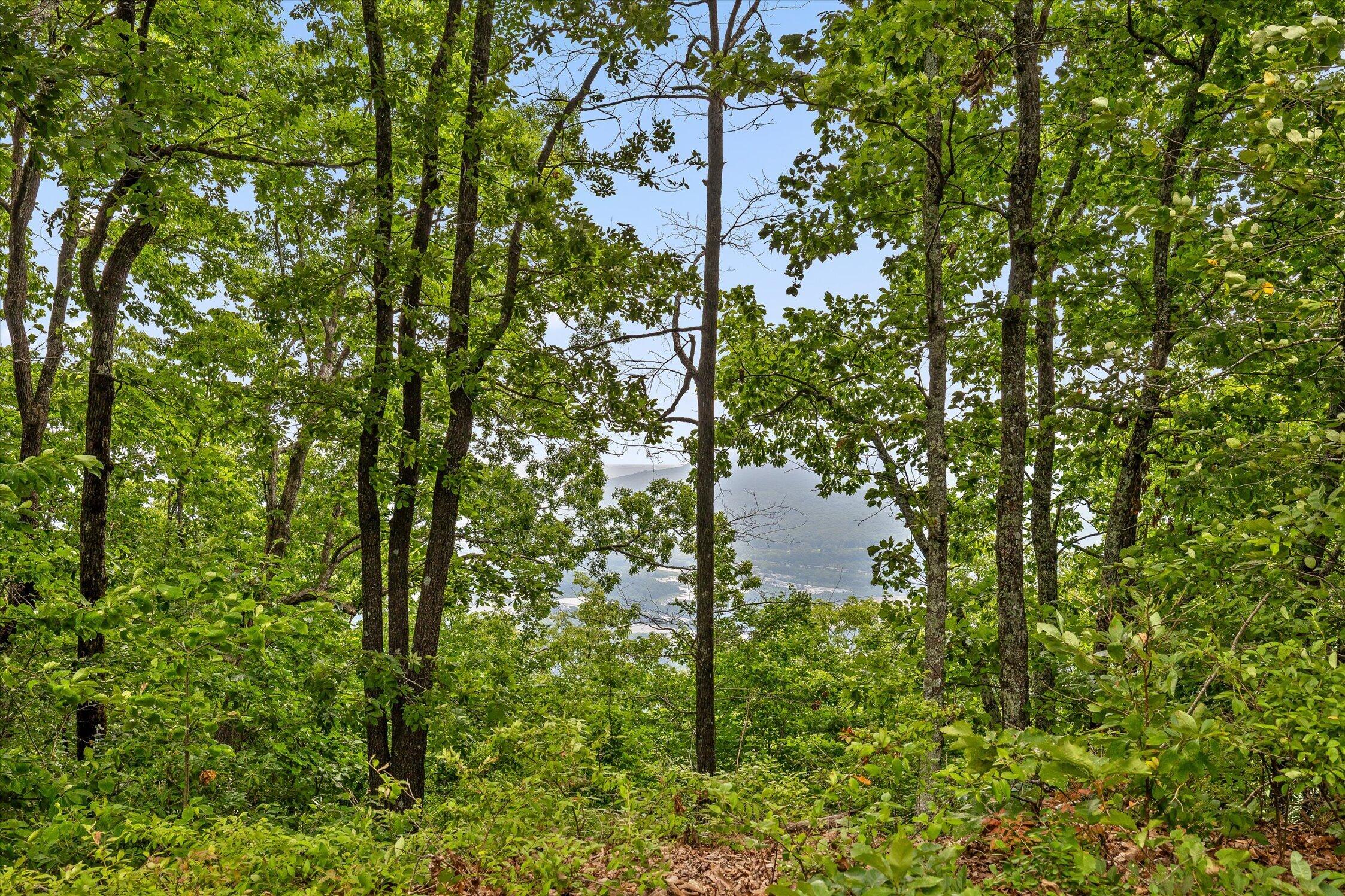 4125 Amethyst Road, Unit 801/802 Chattanooga, TN 37419 - Photo 28 of 46 29-4125 Amethyst-11
