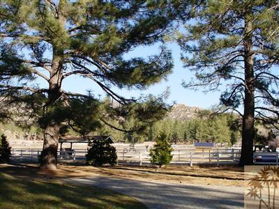 36230 Tool Box Spring Road Mountain Center, CA 92561 - Photo 18 of 19 Additional Photo