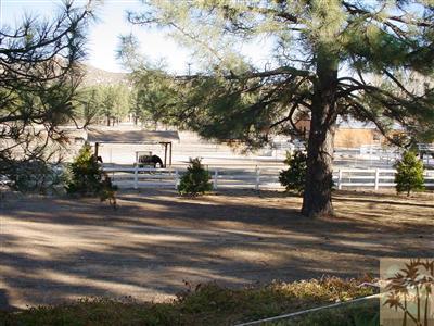36230 Tool Box Spring Road Mountain Center, CA 92561 - Photo 19 of 19 Additional Photo