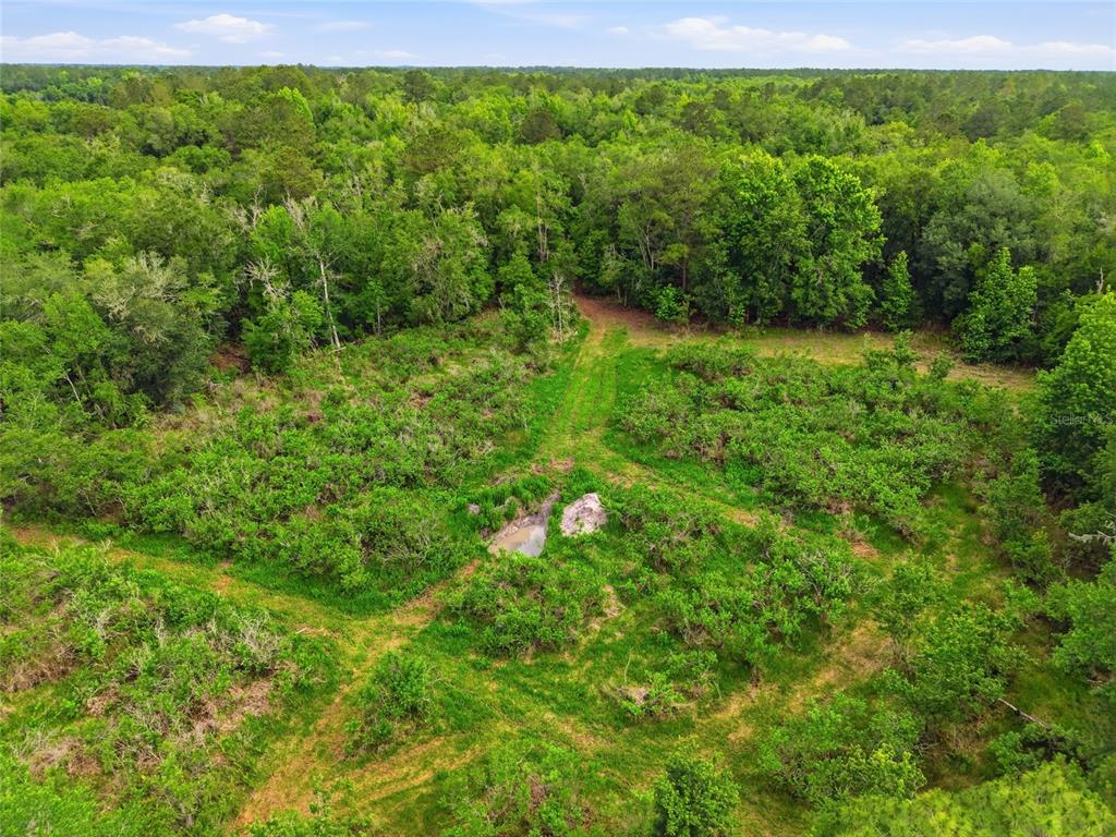 91st Street Alachua, FL 32615 - Photo 11 of 36 a view of yard with green space