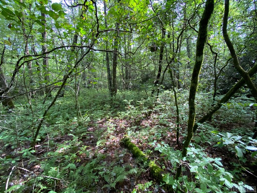 999 Lost Cove Road Clyde, NC 28721 - Photo 16 of 20 Gallery Image 16