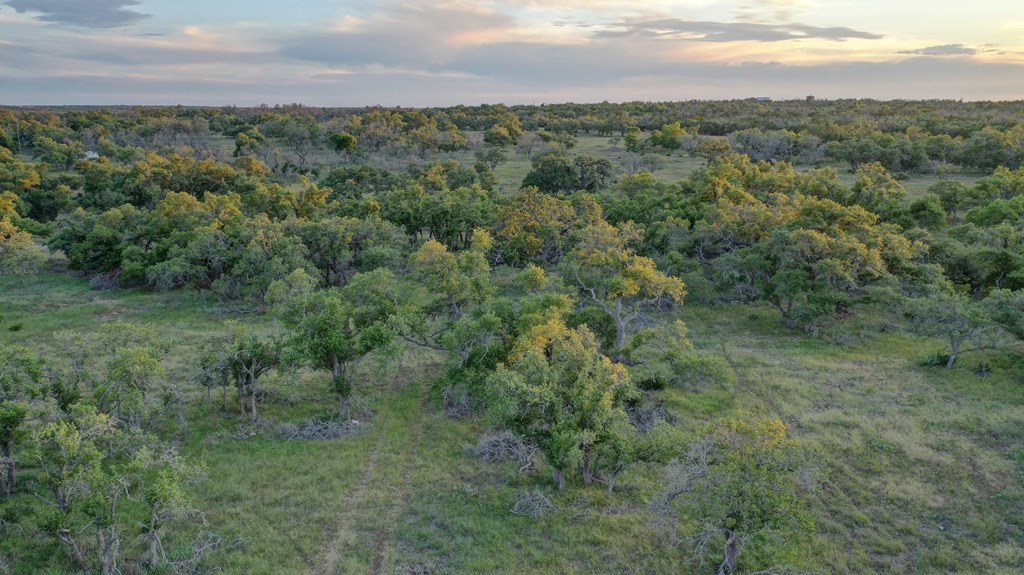 0 Stevens Ranch Road Harper, TX 78631 - Photo 7 of 31 a view of a green field with lots of bushes
