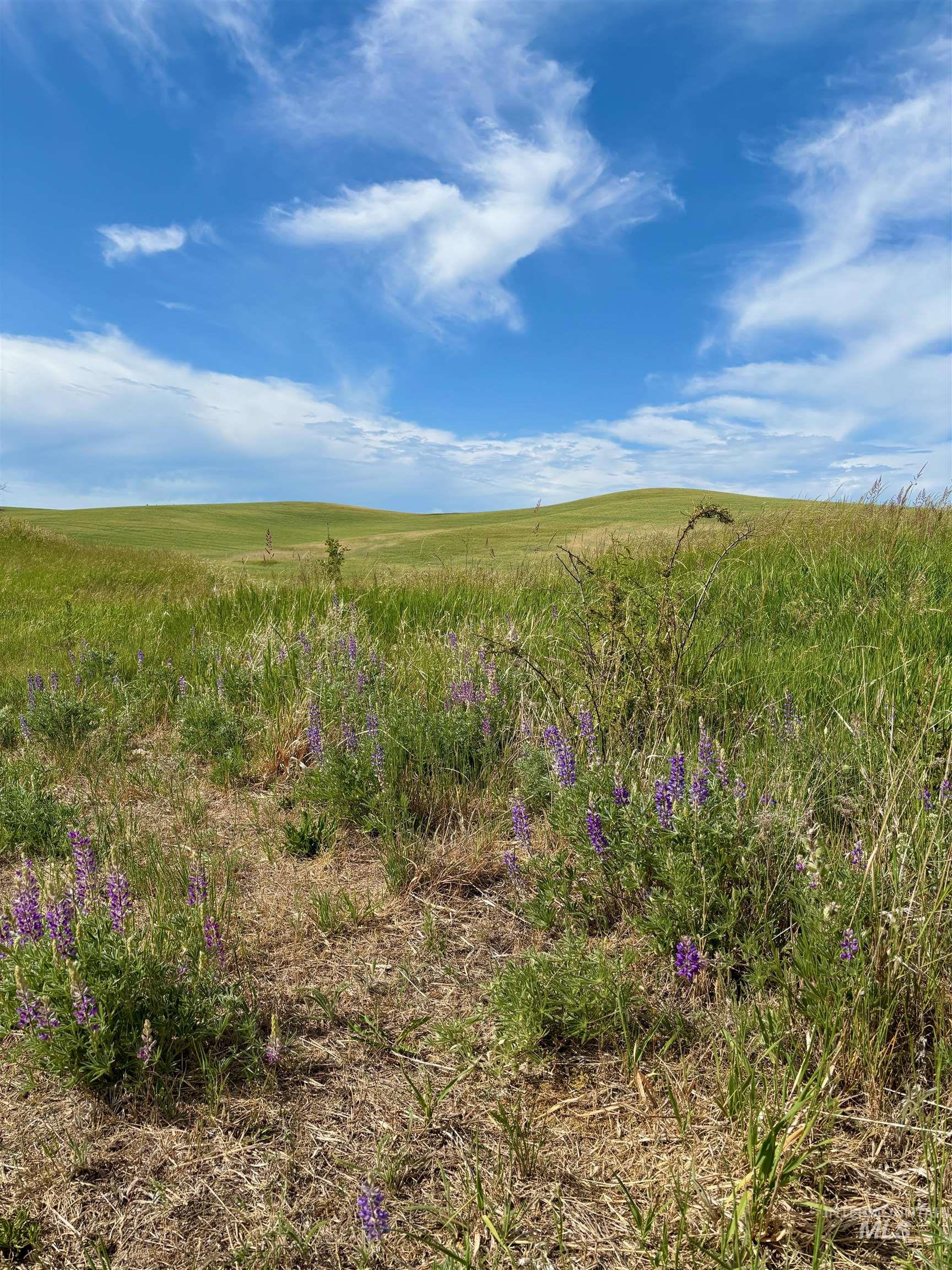 Tbd/000 Mix Road Moscow, ID 83843 - Photo 24 of 31 View of undeveloped land featuring rural landscape