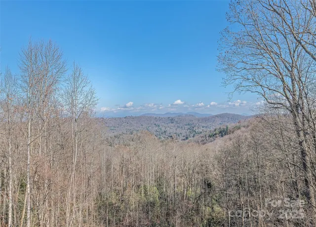 a view of a dry yard with wooden fence