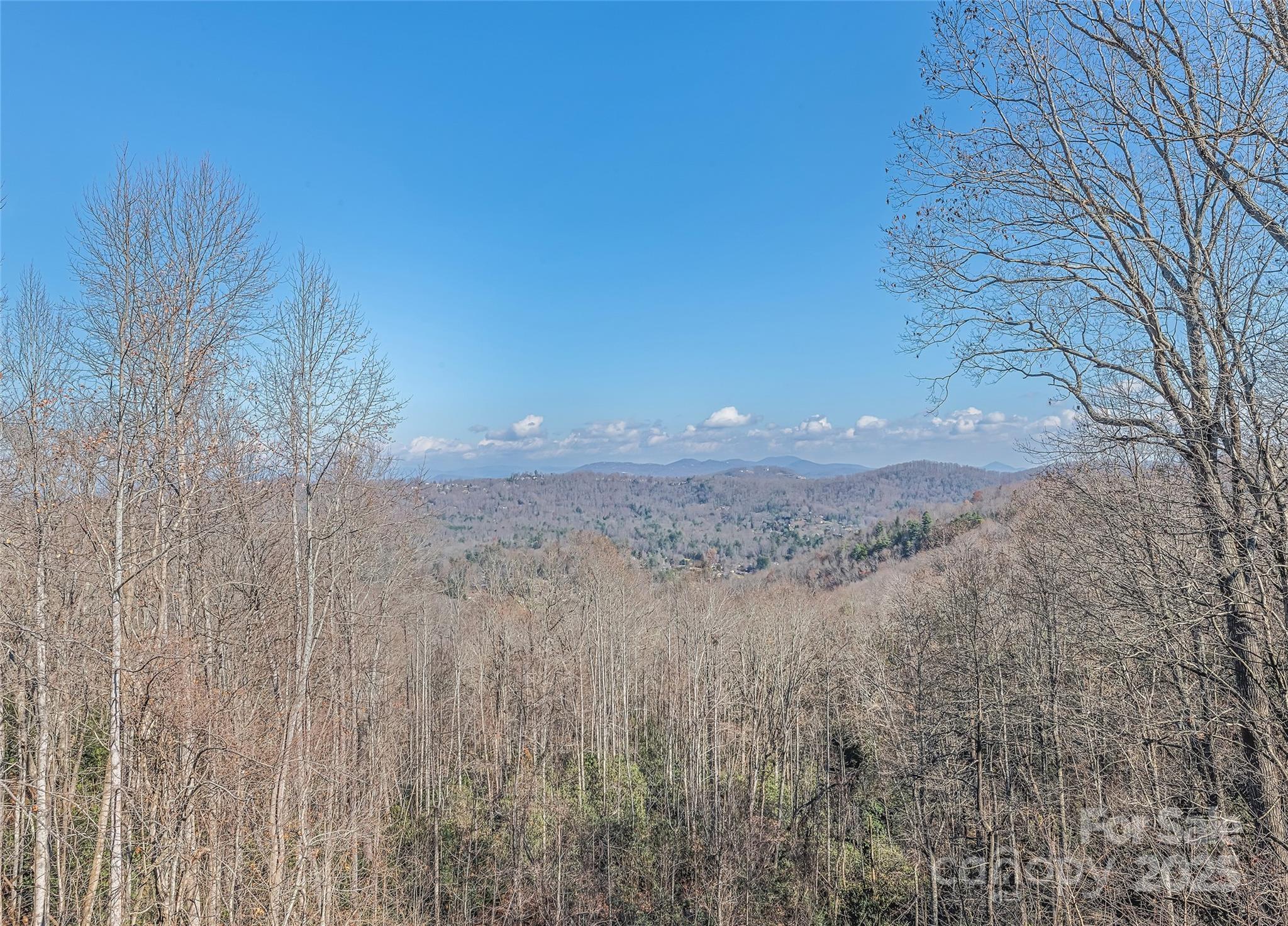 1350 Davis Mountain Road Hendersonville, NC 28739 - Photo 11 of 47